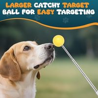 Bâton de dressage télescopique pour chien, outil d'agilité rétractable 76 cm, aide au dressage de chiot avec clicker