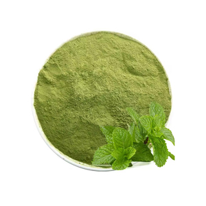 Poudre de menthe de qualité supérieure, herbe séchée finement broyée pour cuisines commerciales, disponible à prix abordable - Product Image 6