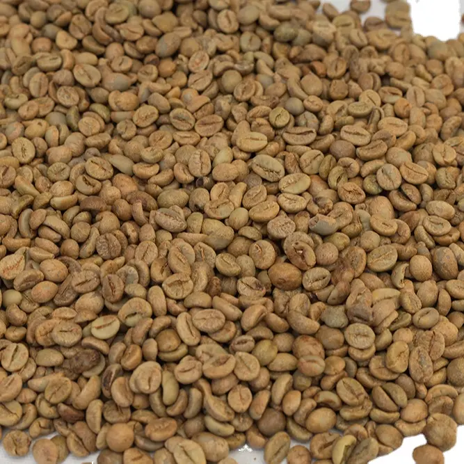 High Quality First Grade Robusta Green Coffee Beans Size 18 Premium Quality