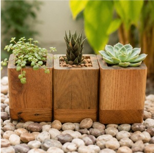 Maceta de Madera Hecha a Mano para Suculentas, Maceta de Madera Maciza para Escritorio, para Cactus Pequeños de Interior, Decoración Moderna y Ecológica para el Hogar - Product Image 4