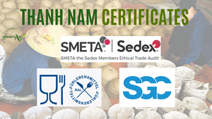 Platos y platos biodegradables de bambú hechos a mano 2025, exhibición vietnamita tradicional y ecológica para fiestas - Product Image 6