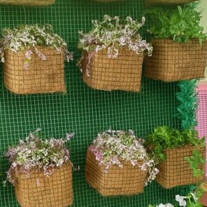 Maceta Cuadrada de Fibra de Coco de Alta Calidad, 14x11.5cm, Maceta Natural para Plantas de Interior, Orquídeas, Uso en Jardines Pequeños - Product Image 6