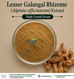 HGO Factory Direct Supply Lesser Galangal Rhizome (Alpinia officinarum) Extract Food Grade 4:1 5:1 10:1 20:1 100:1 200:1 Ratio - Product Image 1