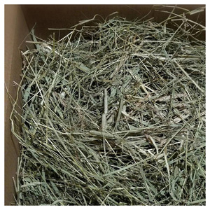 Heno de Timothy Natural de Primera Calidad para Alimentación Animal, Grado de Exportación, Heno de Timothy Seco con Alto Contenido de Fibra para Caballos y Conejos - Product Image 1