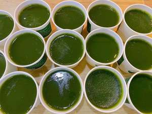 MEILLEUR PRIX |   Poudre de gelée de herbe verte pour la préparation instantanée de desserts, garniture pour thé au lait, export Vietnam - Product Image 6
