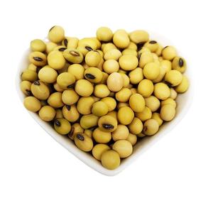Large Quantity Agriculture Crops <b>Soybeans</b> for Global Export - Product Image 1