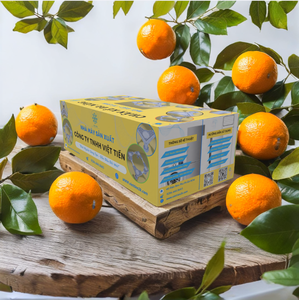 Purificador de Agua para Refrigerador, Uso en Baño, Cuadrado, Pequeño, Repuestos para Lavadora CK-MG Viet Tien, Material ABS PP, Desmontable - Product Image 1