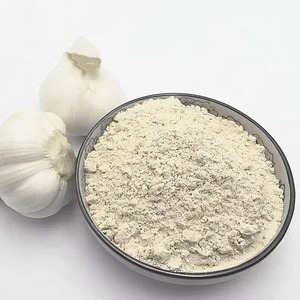 Poudre d'ail de qualité supérieure pour assaisonnement et cuisine, poudre d'ail déshydratée de qualité alimentaire, vente en gros, exportation en vrac, Inde - Product Image 2