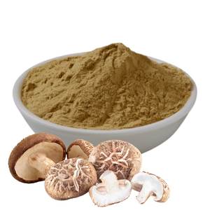 Polvo de Hongo Shiitake de Alta Calidad OEM ODM, Extracto de Hongo Orgánico en Polvo para Suplemento Nutricional, Proveedor Mayorista a Granel - Product Image 2