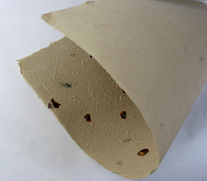 100% Hemp Fiber <b>Paper</b> 80 GSM Natural <b>Color</b> With Flower Petals And Line Chopped Grass Are Mottled Sheets - Product Image 3