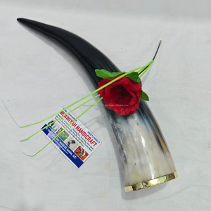 Corne à boire en corne de bœuf de qualité supérieure avec lèvre en laiton, style médiéval, artisanat naturel, écologique, polie, corne à boire viking - Product Image 5