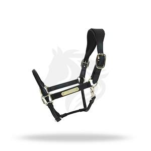 Harnais de cheval en cuir personnalisé avec plaque nominative, collier rembourré réglable, harnais de qualité supérieure - Product Image 1