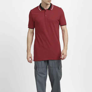 Polo Homme Grande Taille Personnalisé en Gros, Couleur Unie Décontractée, Haut de Sport Absorbant la Transpiration, T-shirt Disponible en ODM - Product Image 2