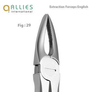 Proveedor Mayorista de Fórceps Dentales para Extracción Hechos en Pakistán, Fórceps Dentales para Extracción de Alta Precisión con Logotipo Personalizado - Product Image 3