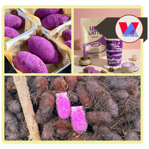 Meilleures ventes : Farine d'igname violette naturelle, Poudre d'Ube à base végétale, Extrait séché par pulvérisation, Ingrédient durable pour la pâtisserie et les Ube Lattes - Product Image 3
