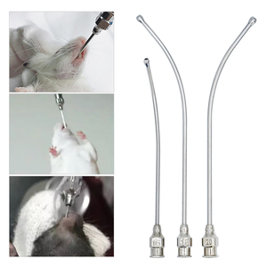 Veterinary Reusable Animal Feeding Needle Pet Bird Drench Cannula Pet <b>Rats</b> Mouse Oral Gavage Feeding Needle Feeding Spoon - Product Image 6