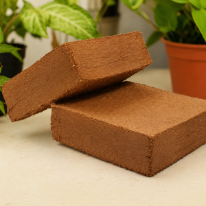 Coconut Coir Block For Plant Growing Biodegradable Soil Amendment 75L-80L Less Fiber 2% 80L Expansion European Markets - Product Image 2
