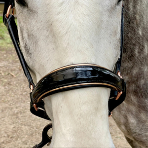 Cabestro Profesional para Caballos, Estilo Inglés, para Equitación al Aire Libre, de Alta Calidad y Duradero, en Venta - Product Image 6