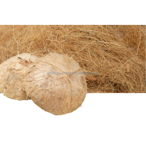 High Quality Custom-Size Handmade Coconut Shell Campfire Grill Vietnam Husk Wholesaler Product with Coir Fiber - Product Image 6