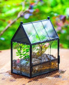 Terrarium décoratif personnalisé en métal et verre, jardinière moderne en verre pour plantes d'intérieur, succulentes, plantes aériennes et terrarium DIY - Product Image 5