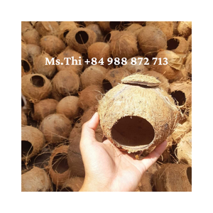 CASA DE COCO PARA PÁJARO CON GRAN CANTIDAD LISTO PARA EXPORTAR CON INCREÍBLE CALIDAD Y BUEN PRECIO - Product Image 3