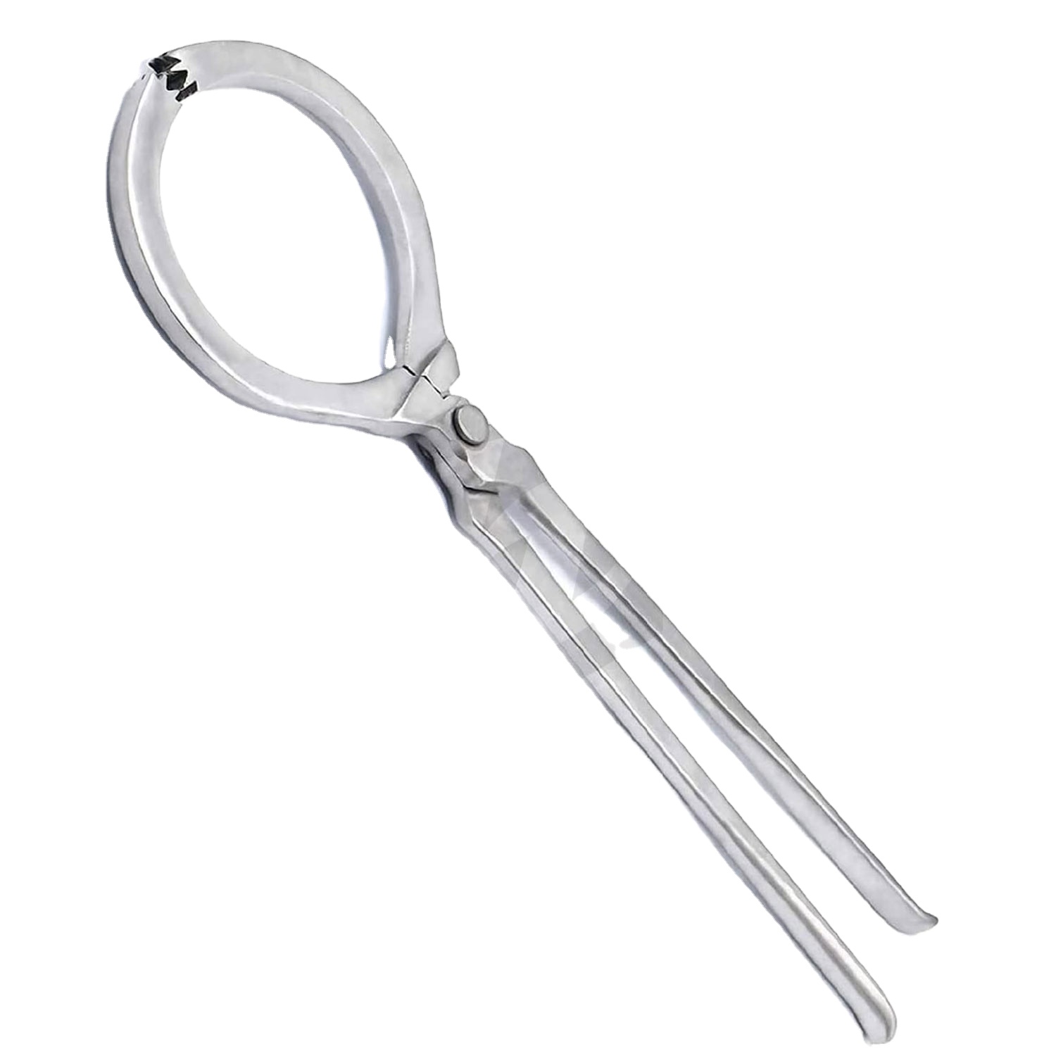 Testeur De Sabot Vétérinaire Réglable En Acier Inoxydable, Neuf, Pakistan