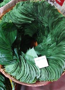 Hojas de Paan Patta Frescas de Primera Calidad, Servicio de Alimentos y Venta al por Menor a Precio de Mayoreo de un Exportador de la India - Product Image 5