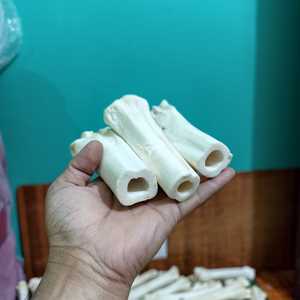 Hueso de pierna de búfalo blanco natural en forma de medio tubo para artesanías vikingas y tradicionales a precio económico. - Product Image 1
