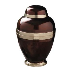 Urne de crémation élégante en laiton de style européen pour adultes, couvercle sécurisé, écologique et durable, capacité de 200 pouces cubes pour fournitures humaines - Product Image 1