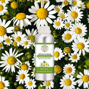 100% approvisionnement en vrac d'huile essentielle de camomille allemande pure pour cosmétiques parfumerie prix usine haute pureté - Product Image 3