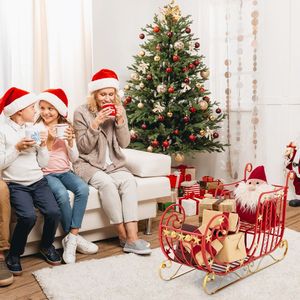 Decorazione Natalizia in Metallo a Forma di Slitta di Babbo Natale con Ampio Spazio per Regali e Decorazioni Domestiche - Product Image 6