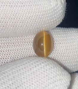 คริโซเบอรีลธรรมชาติ 6.95 กะรัต รูปทรงแคทอาย โอวัล คาโบชอง |   อัญมณีสะสมแบบแยกชิ้น |   ผู้จัดจำหน่ายสินค้าขายส่งอินเดีย |   เกรดเครื่องประดับ - Product Image 3