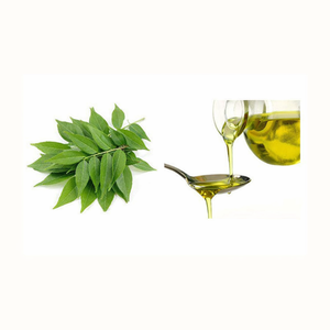 AG Organica OEM/ODM Aceite Esencial Natural de Hoja de Curry, Fabricante de Confianza, Proveedor Mayorista, Aceite Vegetal Natural de Primera Calidad a Granel - Product Image 2