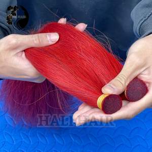 Extensiones de cabello humano Remy vietnamita 100% belleza textura a granel recta 100g todos los colores teñido blanqueamiento permanente Super doble dibujado - Product Image 2