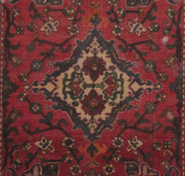 Multicolore