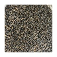 Topkwaliteit Papaya Zaden Goedkope Groothandelsprijs Natuurlijk Gedroogde Kruidenpeper Premium Fabriek Bulk Leverancier Nieuw