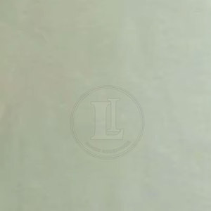 Camisetas de Lona 100% Algodón Transpirables y Modernas para Hombre, de la Mejor Calidad, con Logotipo y Estilo Personalizados, Venta al Por Mayor - Product Image 6