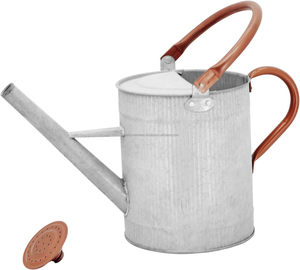 Regadera de Metal Galvanizado con Boquilla Desmontable, Regadera de Acero para Interiores y Exteriores - Product Image 6