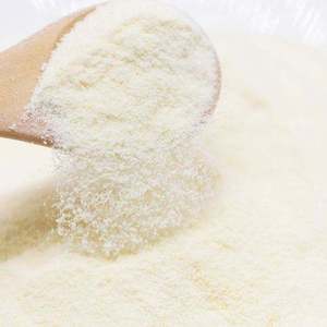 Polvo de leche desnatada de grado alimenticio para la producción de yogur - Product Image 1