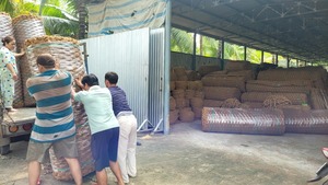 TENDANCES ACTUELLES Tapis en fibre de coco biodégradable fabriqué à la machine pour la protection des bases routières, anti-érosion, couverture du sol et protection des pentes - Product Image 6