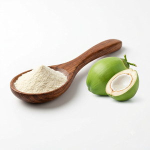 Premium Quality Tender Coconut Water Powder Natural Food Grade Bulk Wholesale Supplier Manufacturer Exporter India - Product Image 2