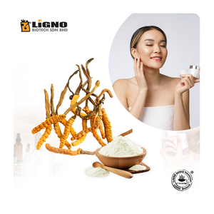 ลิกโน OCS02 ® สารสกัดน้ำจากเห็ดถั่งเช่าโอฟิโอคอร์ดิเซปส์ - สารบำรุงผิวเพิ่มพลังและฟื้นฟูผิวหมองคล้ำ - Product Image 1