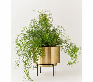 Macetero Moderno de Metal Dorado con Soporte de Hierro Negro, Maceta Redonda de Lujo para Jardín Interior y Decoración del Hogar - Product Image 1