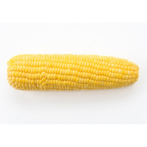 Granos de Maíz Natural Puro de Alta Calidad, Maíz Amarillo para Animales/Sin OMG, Bolsas Amarillas Canadá, Bolsas Blancas AD/Al Por Mayor/Personalizado - Product Image 3