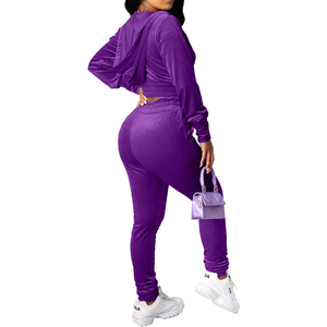 Women's Beige Velvet Hooded Tracksuit Set Full Sleeve <b>Zipper</b> Front Crop <b>Top</b> With Side Pockets Skinny Fit Sweatpants Autumn Wear - Product Image 4