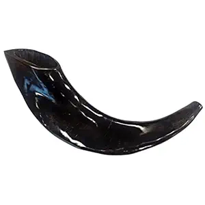 Shofars Artisanaux Écologiques Personnalisés – Cornes Polies de Buffle, de Bouc, de Mouton et de Chèvre, Style Animalier pour la Décoration Intérieure FAIZA CRAFT - Product Image 5