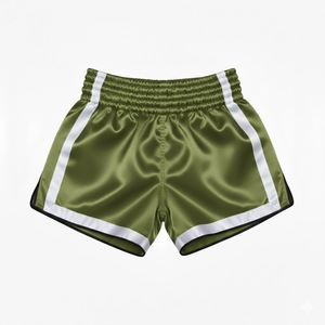 Shorts de boxe thaï tendance 2026 – Muay Thai & MMA – Logo avant – Pour l'entraînement en arts martiaux et sports de combat - Product Image 1