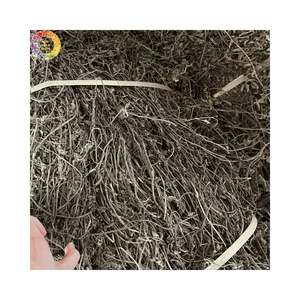 Gelée de plantes séchées de Mesona Chinensis pure pour boissons traditionnelles et rafraîchissantes d'été – Prix de gros - Product Image 4