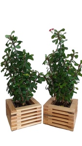 PLANTES TRADITIONNELLES ARTISANAT pot de fleurs en bois souhaitant bien jardinière arrière-cour décor de jardin jardinières en bois écorce fleur jardin - Product Image 6