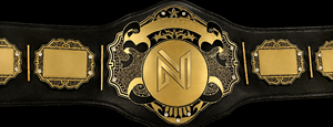 Ceinture de championnat MMA personnalisée sur mesure, sangle en cuir personnalisée, plaques métalliques dorées, trophée de compétition sportive pour vainqueur - Product Image 2